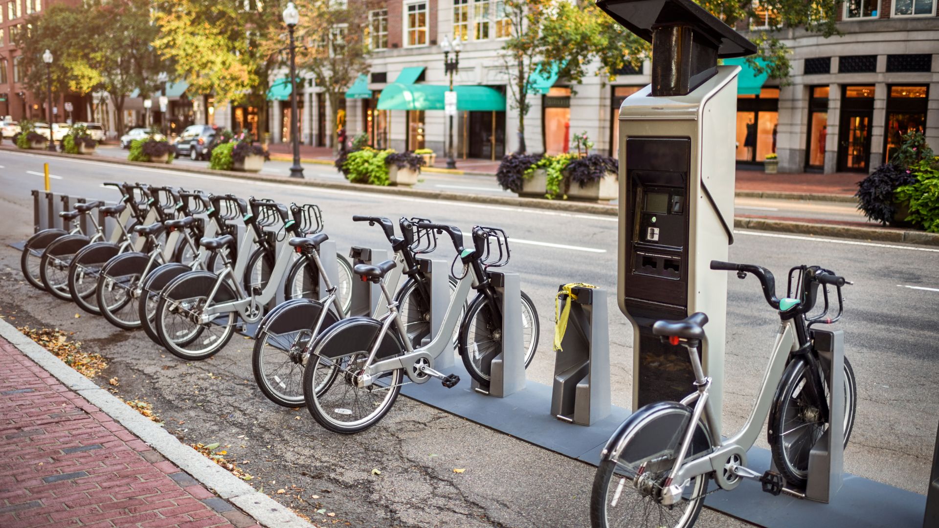 Station de vélos en libre-service le long d'une rue